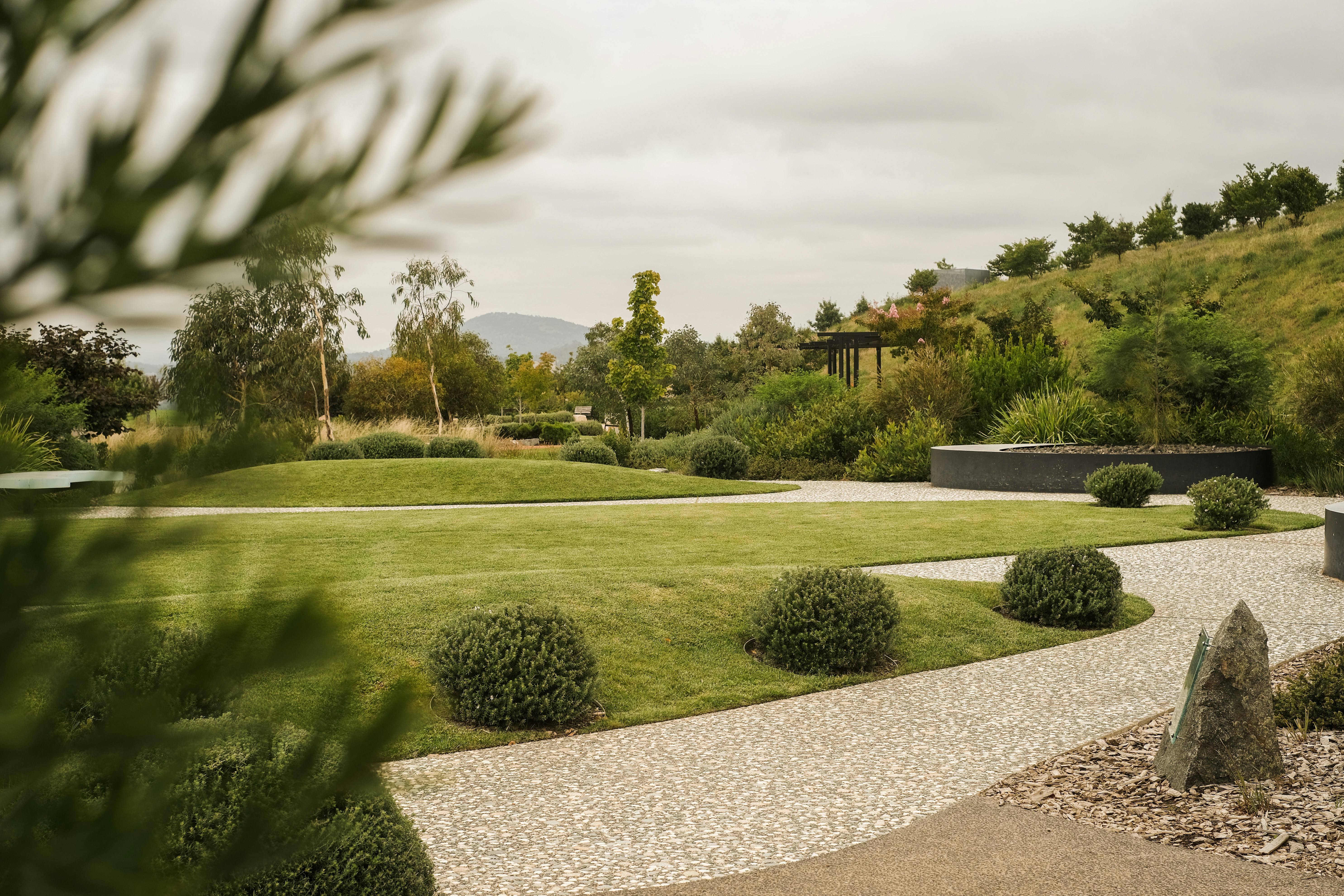 Freshly landscaped yard with manicured greenery